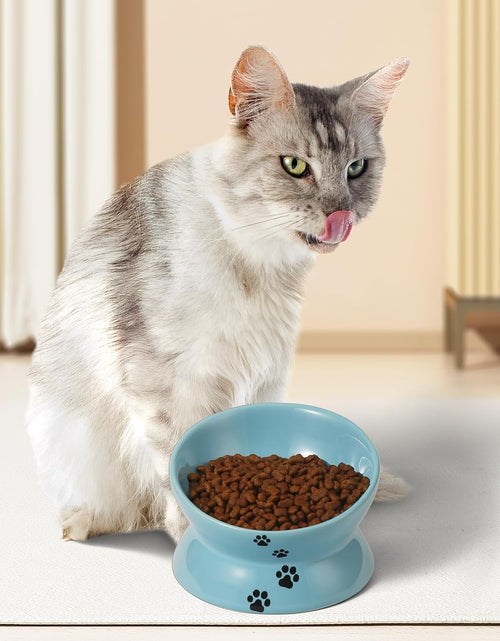 Load image into Gallery viewer, Elevated Cat Food Bowl, Ceramic Raised Bowl, Tilt Angle Protects Cat'S Spine, anti Vomiting Dish, Backflow Prevention, Lake Blue
