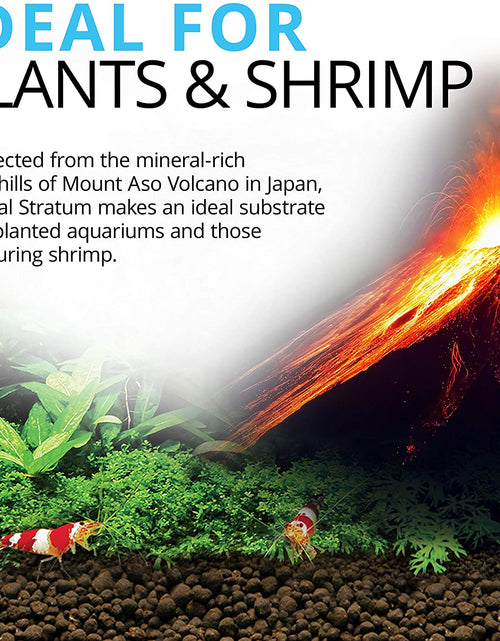 Load image into Gallery viewer, 12694 Plant and Shrimp Stratum for Freshwater Fish Tanks, 8.8 Lbs. - Encourages Strong Plant Growth, Supports Neutral to Slightly Acidic Ph

