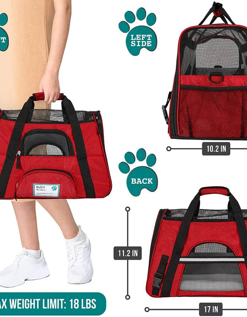 Load image into Gallery viewer, Airline Approved Pet Carrier for Cat, Soft Sided Dog Carrier for Small Dogs, Cat Travel Supplies Accessories for Indoor Cats, Ventilated Pet Carrying Bag Medium Large Kitten Puppy, Small Red
