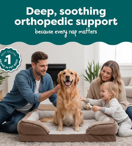 Memory Foam Dog Bed for Large Dogs W/ Removable Bolsters & Washable Cover, for Dogs up to 95 Lbs - Plush & Velvet Waves Perfect Comfort Sofa - Brownstone, Jumbo/Xl